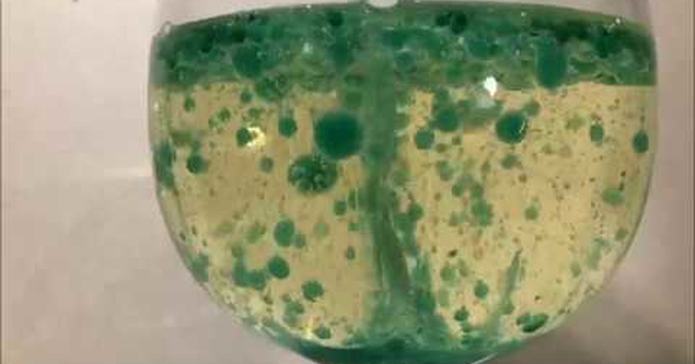 creando una lampara de lava casera