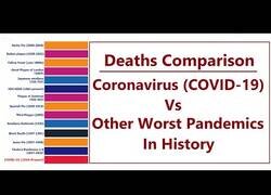 Enlace a El impacto del coronavirus comparado con otras pandemias históricas