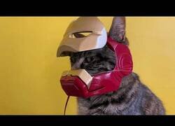Enlace a Fabricando un casco para Iron Cat