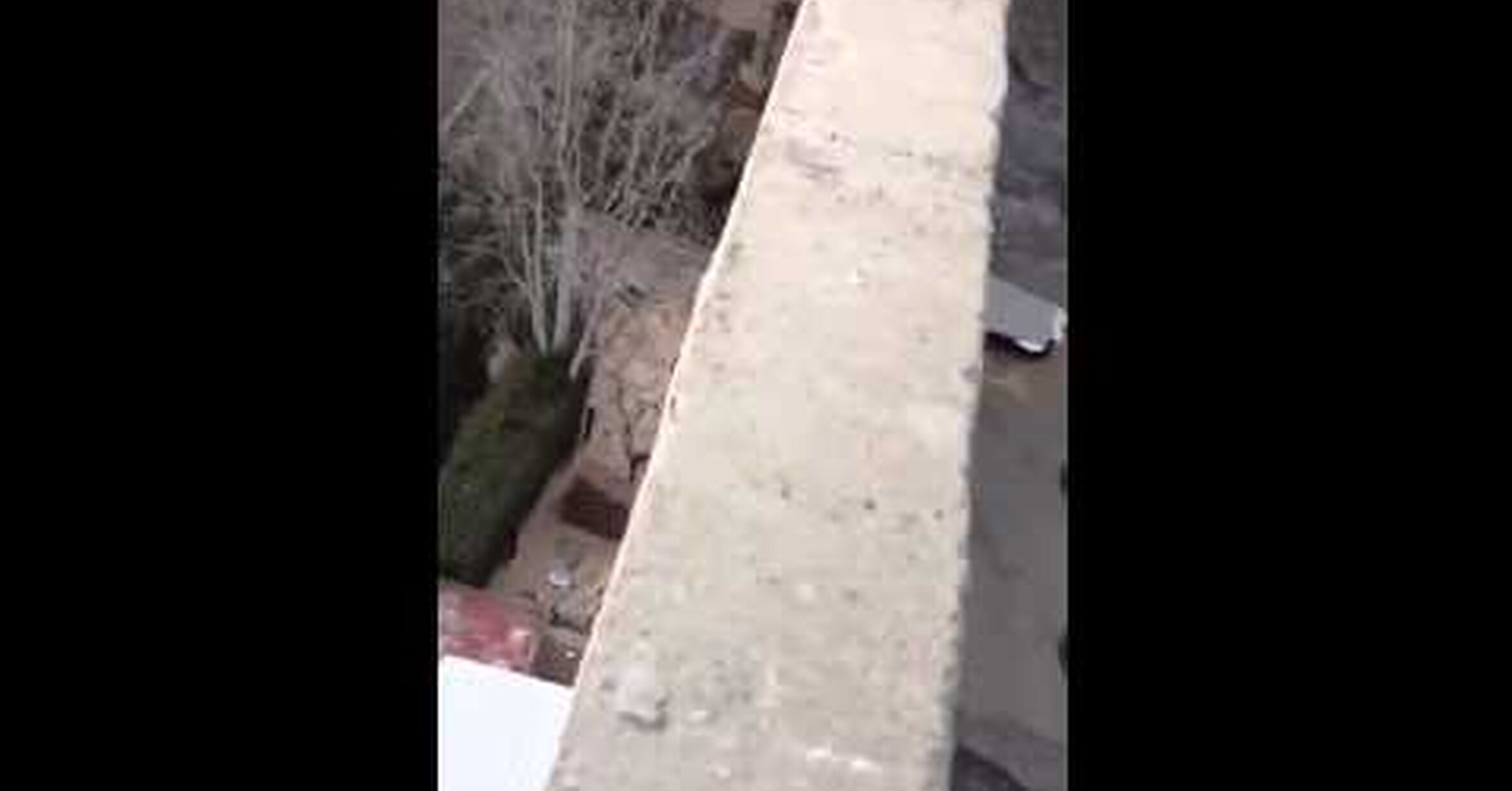 ¡No tengo tele! / Un gato cae de tres pisos y como si nada...