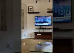 Enlace a Un perro anima a su caballo en un carrera de hípica