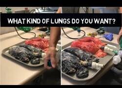 Enlace a La diferencia entre un pulmón sano y el de un fumador