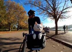 Enlace a Un hombre y un gato recorren Londres en bicicleta