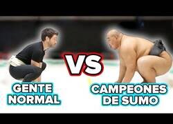 Enlace a Gente normal lucha contra campeones de sumo
