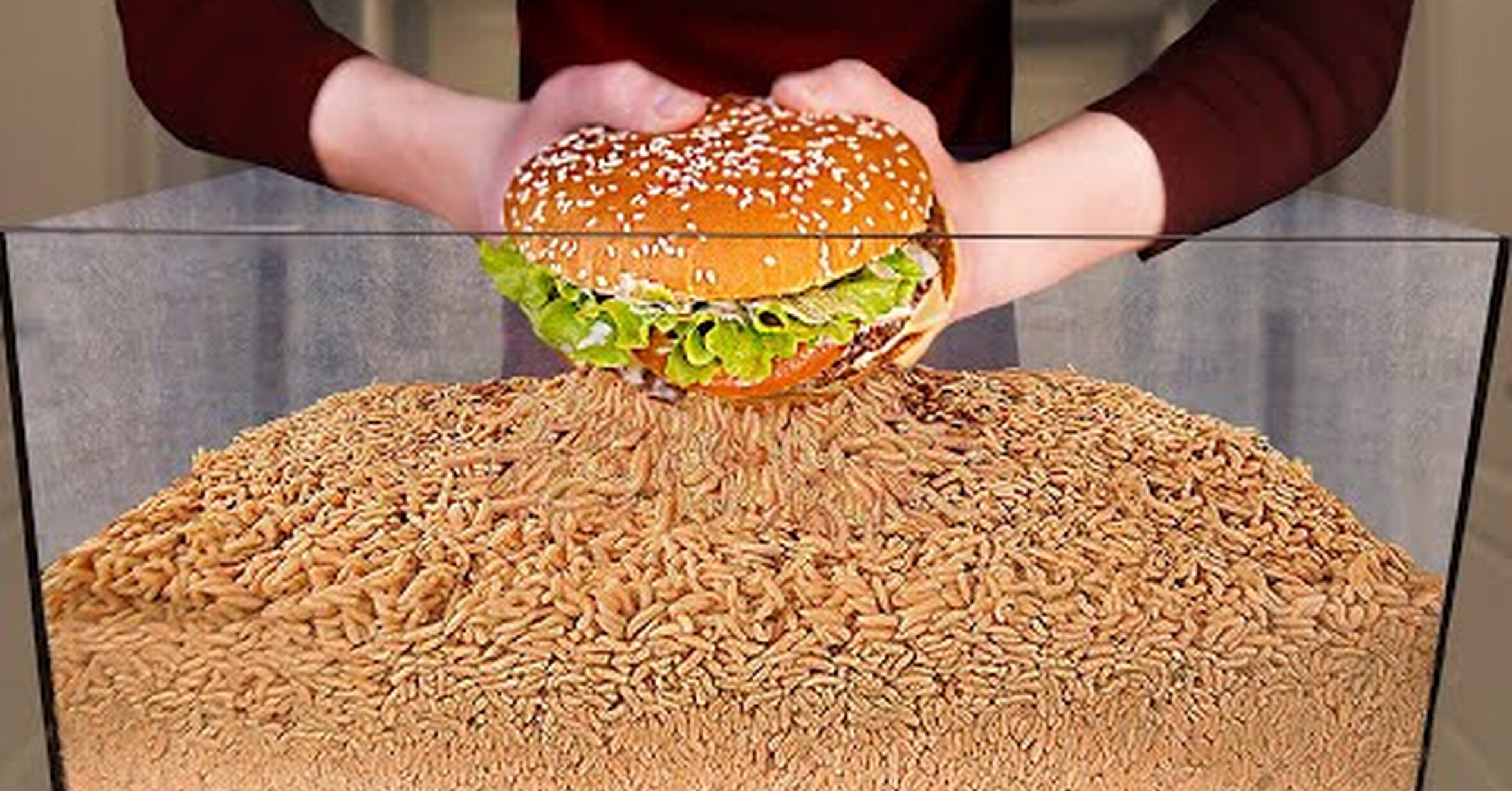 Grayson Burger