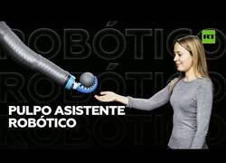 Enlace a Crean un brazo robótico asistente inspirado en un pulpo