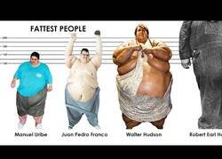 Enlace a Comparando a las personas más obesas de la historia