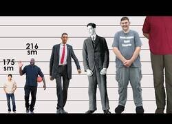 Enlace a Comparando a las personas más altas de la historia