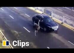 Enlace a Captan a un avestruz corriendo por una carretera de China