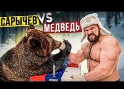 Enlace a Tan solo rusos echando pulsos con un oso