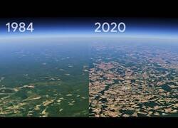 Enlace a La deforestación que ha sufrido el planeta en los últimos 40 años