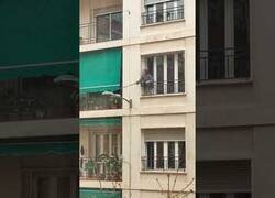 Enlace a Una mujer friega una farola desde su ventana, en Granada