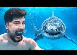 Enlace a ¿Nadarías con tiburones por 100.000 dólares?
