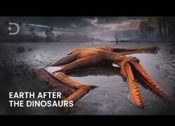 Enlace a Así fueron los primeros minutos tras la extinción de los dinosaurios