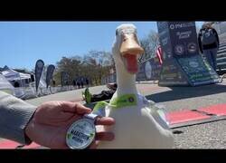 Enlace a Un pato corre una maratón y gana una medalla