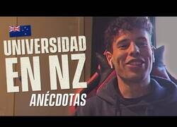 Enlace a Anécdotas de un estudiante en Nueva Zelanda