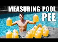 Enlace a ¿Cómo se mide la cantidad de pis que hay en una piscina?