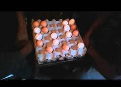 Enlace a Jugando al ajedrez con huevos