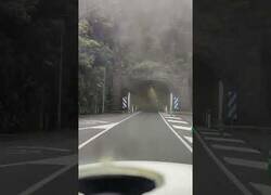 Enlace a El túnel en el que cambias de clima al cruzarlo en La Palma