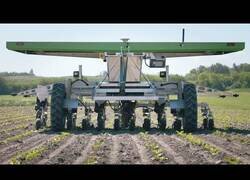 Enlace a Maquinas agricolas para la cosecha y otros trabajos