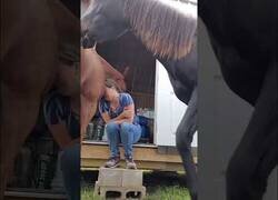 Enlace a El video viral de un caballo arropando a su cuidadora que pasaba por un mal momento
