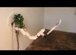 Enlace a Una planta controla un machete gracias a este brazo robótico