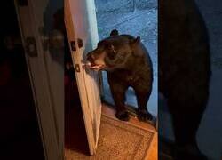 Enlace a Un oso entra en una casa y cierra la puerta al salir