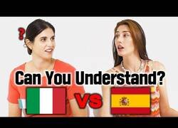Enlace a ¿Pueden entenderse bien entre ellas una italiana y una española?