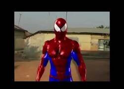 Enlace a La versión africana de Spiderman