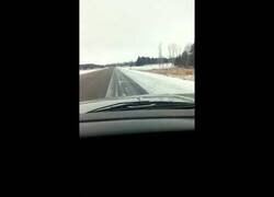 Enlace a Encuentran un ciervo petrificado por el frío en mitad de la carretera