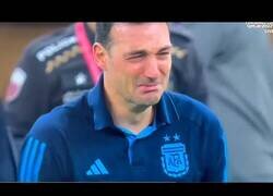 Enlace a Así reaccionó Lionel Scaloni, seleccionador de Argentina, al ser campeón del Mundo