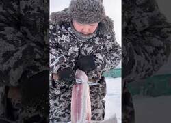 Enlace a Preparando una ración de pescado en Yakutia