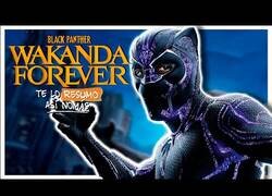 Enlace a Resumiendo Black Panther 2: Wakanda Forever