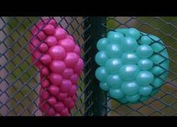 Enlace a Explotando globos de agua en slow motion