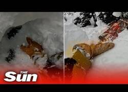 Enlace a Esquiador rescata a otro que había quedado sepultado en la nieve