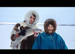 Enlace a Así es la vida de los pastores nómadas del Ártico