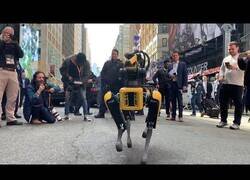 Enlace a Los nuevos robots policía de Nueva York capaces de lanzar localizadores a posibles coches fugitivos