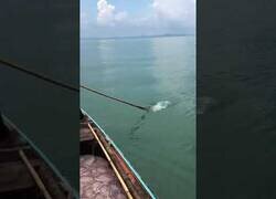 Enlace a Pescando medusas en una barca