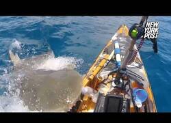 Enlace a Un tiburón muerde el kayak de un pescador
