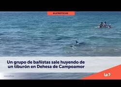 Enlace a Tiburón de 2 metros espanta a los bañistas de una playa de Alicante