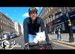 Enlace a El gato sordo que adoraba los paseos en bici por Londres