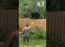 Enlace a Un hombre y su perrito tratan de echar a un oso de su jardín