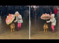 Enlace a Esta niña protege de la lluvia a su perro en todo momento