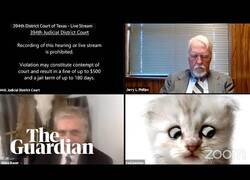 Enlace a Un juez entra en un juicio por videoconferencia con un filtro de gatito