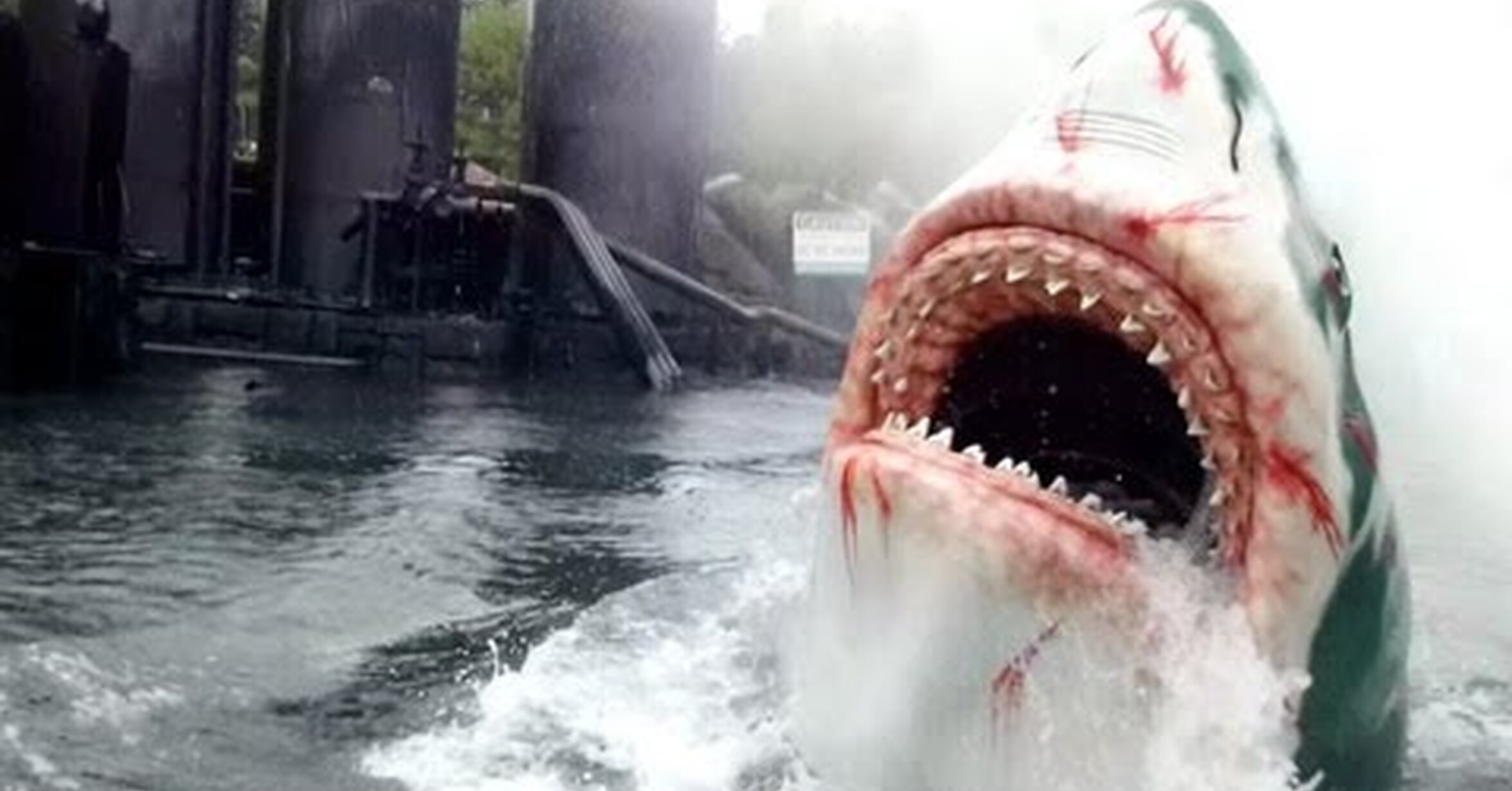 ¡No tengo tele! / Un paseo