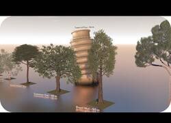 Enlace a Comparativa 3D de los árboles más grandes del mundo