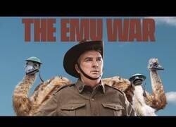 Enlace a The Emu War, la película inspirada en la plaga de emús de 1932