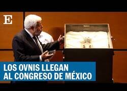 Enlace a México muestra supuestos cuerpos de alienígenas