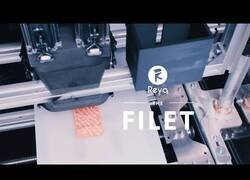 Enlace a La impresora que imprime filetes a partir de filamentos de hongos