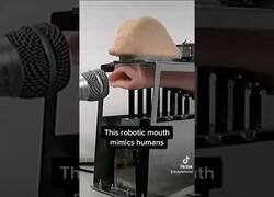 Enlace a Motormouth: el robot que intentaba imitar la voz humana